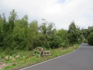 Dražba zahrady, Šemnice, 472 m2