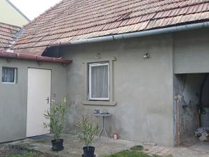 Pronájem rodinného domu, Velké Bílovice, 80 m2