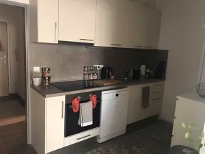 Pronájem bytu 2+kk, České Budějovice, Kijevská, 53 m2