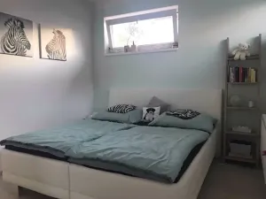 Pronájem bytu 2+kk, České Budějovice, Kijevská, 53 m2