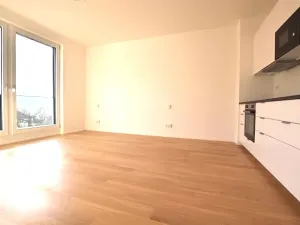 Pronájem bytu 1+kk, Praha - Lysolaje, Lysolajské údolí, 30 m2