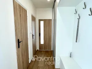 Pronájem bytu 2+1, Brno, Heleny Malířové, 55 m2