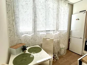 Pronájem bytu 2+1, Brno, Heleny Malířové, 55 m2