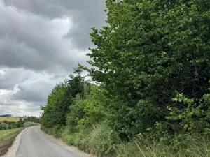 Prodej lesa, Brtnice, 14739 m2