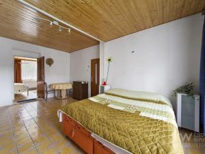 Prodej chalupy, Plasy, 174 m2