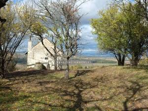 Prodej zahrady, Židlochovice, 2384 m2