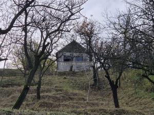 Prodej zahrady, Židlochovice, 2384 m2