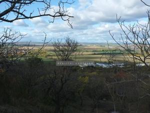 Prodej zahrady, Židlochovice, 2384 m2