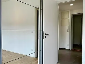 Pronájem bytu 2+kk, Praha - Vinohrady, Perucká, 46 m2