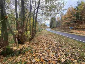 Prodej pozemku, Hartmanice, 2902 m2