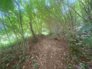 Prodej pozemku, Mladkov, 1004 m2