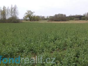 Prodej pole, Žíšov, 3467 m2