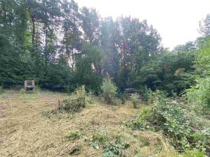 Prodej pozemku, Lišov - Levín, 1030 m2