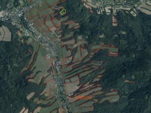 Prodej pozemku, Sobotín, 10593 m2