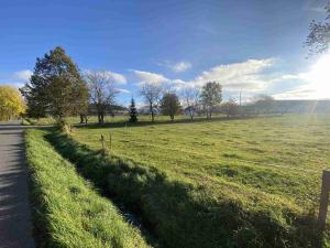 Prodej pozemku, Králíky - Horní Lipka, 18004 m2