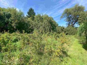 Prodej pozemku, Horní Stropnice - Bedřichov, 2842 m2