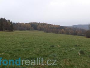 Prodej pole, Zdíkov - Branišov, 20225 m2