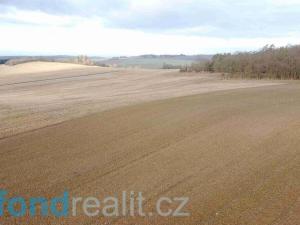 Prodej pole, Terešov, 2574 m2