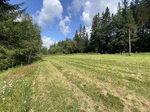 Prodej pole, Kaplice - Blansko, 843 m2