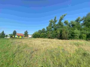 Prodej pozemku, Moravský Písek, 2722 m2