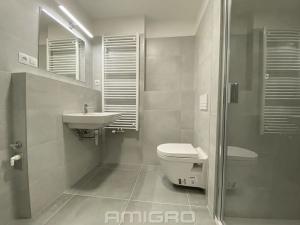 Pronájem bytu 1+kk, Brno, Reissigova, 32 m2