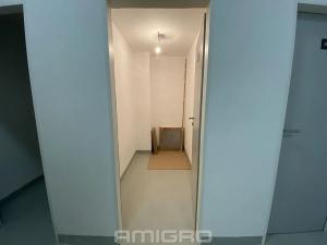 Pronájem bytu 1+kk, Brno, Reissigova, 32 m2