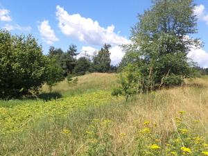 Prodej pozemku, Stráž, 15644 m2