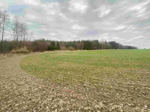 Prodej pole, Žinkovy, 15275 m2