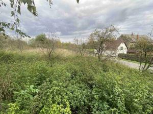 Prodej pozemku, Javorník - Horní Hoštice, 1691 m2