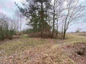 Prodej pozemku, Drahonice - Albrechtice, 2121 m2