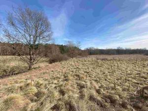 Prodej pole, Františkovy Lázně, 15408 m2