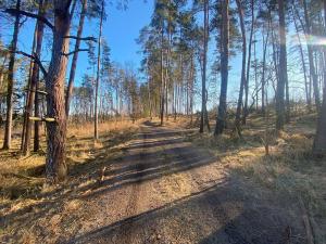 Prodej pole, Kočov - Klíčov, 3847 m2