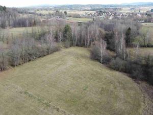 Prodej pozemku, Dolní Dvořiště - Trojany, 18915 m2