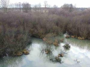 Prodej pozemku, Nové Hrady - Štiptoň, 35772 m2