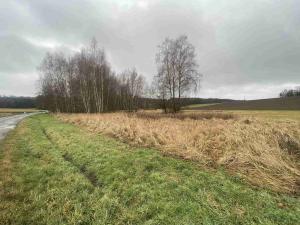 Prodej pozemku, Hosín - Dobřejovice, 10244 m2