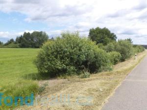 Prodej pozemku, Veselí nad Lužnicí - Horusice, 1940 m2
