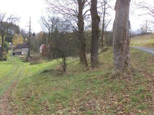 Prodej pozemku, Aš, 1691 m2