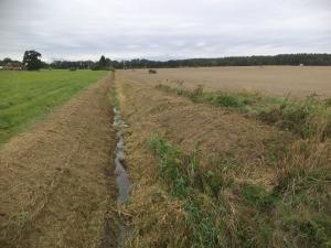 Prodej pozemku, Radošovice - Tupesy, 1227 m2