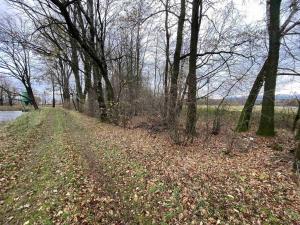 Prodej pozemku, Horní Stropnice - Svébohy, 1287 m2