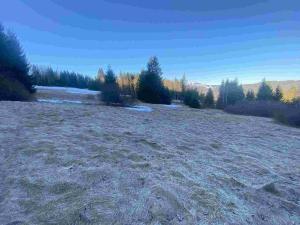 Prodej pozemku, Železná Ruda, 2377 m2