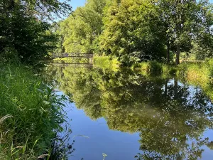 Prodej louky, Šestajovice, 3641 m2