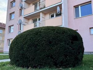 Pronájem bytu 2+1, Lipník nad Bečvou - Lipník nad Bečvou I-Město, Za Parkem, 58 m2