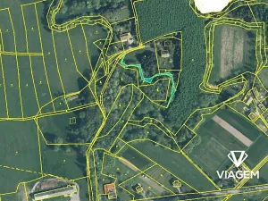 Prodej lesa, Petrovice u Karviné, 566 m2