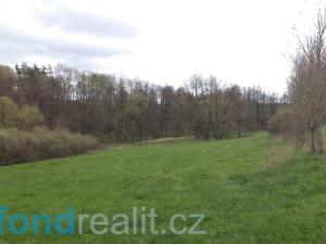 Prodej pole, Tachov, 55727 m2