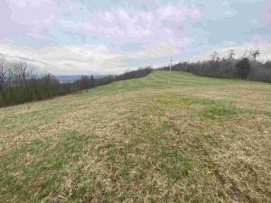 Prodej pole, Mírová pod Kozákovem, 22044 m2