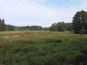 Prodej pole, Rozvadov, 52176 m2