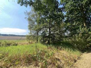 Prodej pozemku, Lipová, 200 m2