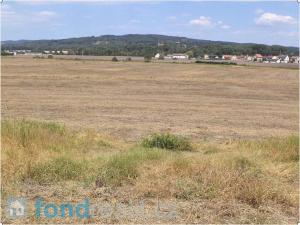 Prodej pole, Čejetice, 10968 m2