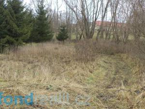 Prodej pole, Horní Planá, 45926 m2