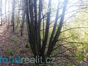 Prodej pozemku, Ostrava, 1510 m2